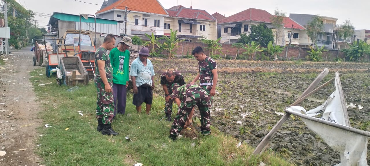 Dukung Program KASAD, Babinsa Koramil Tambaksari Siapkan Lahan untuk Penanaman Pohon Keras