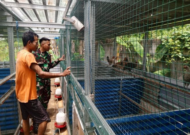 Jajaran Kodim 0830 Kembangkan Budidaya