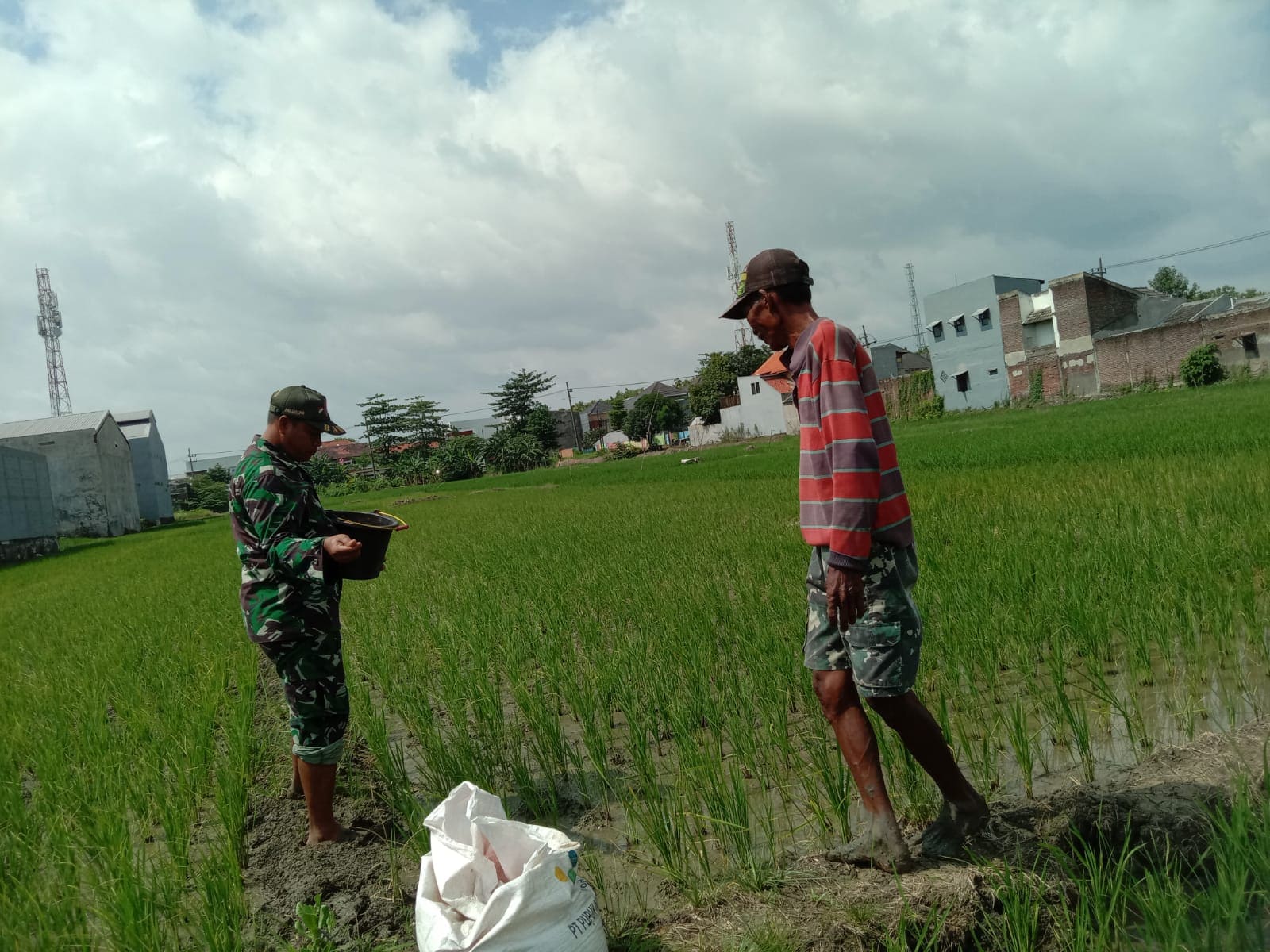 Totalitas Babinsa Bangkingan, Sukseskan  Swasembada Pangan