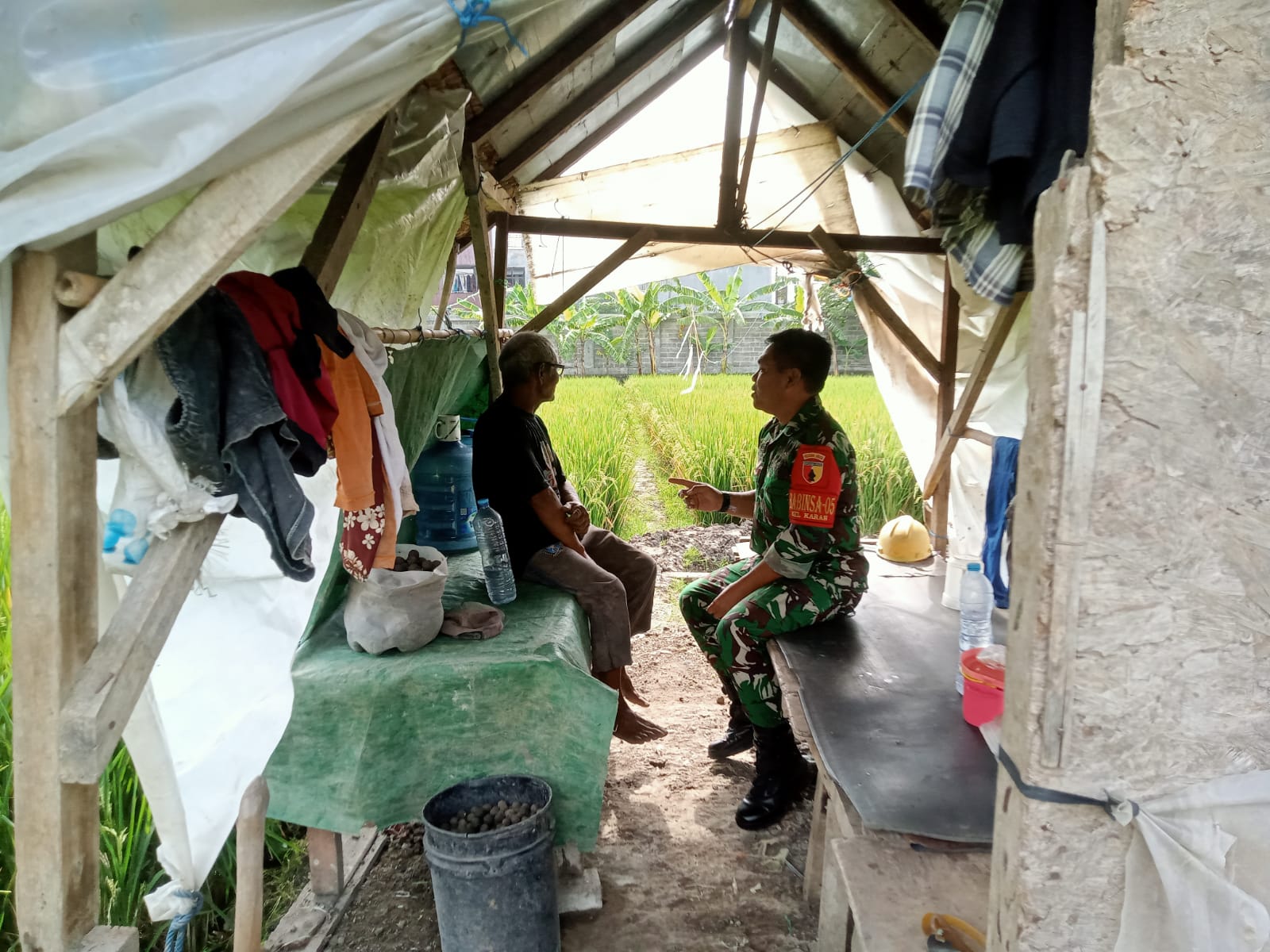 Blusukan ke Sawah, Babinsa Motivasi Petani untuk Tingkatkan Hasil Pertanian