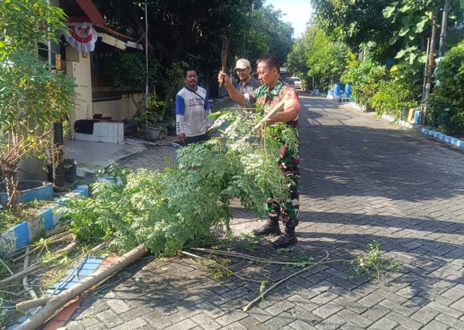 Babinsa Baratajaya Bersama Warga Gelar Kerja Bakti Perampingan Pohon