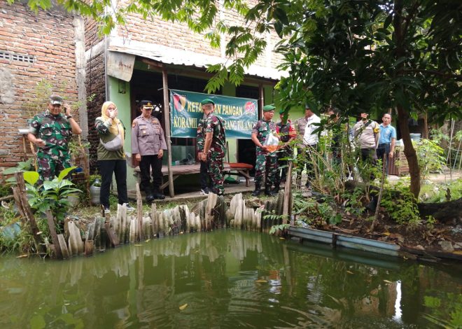 Sukseskan Program Ketahanan Pangan, Babinsa Gunungsari Berikan Bibit Ikan Nila kepada Masyarakat