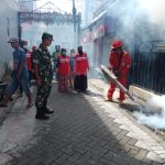 Langkah Preventif Cegah Terjadinya Peningkatan Kasus DBD