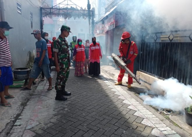 Langkah Preventif Cegah Terjadinya Peningkatan Kasus DBD