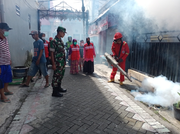 Langkah Preventif Cegah Terjadinya Peningkatan Kasus DBD