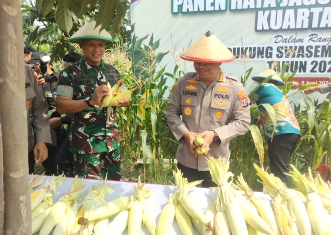 Dandim Surabaya Hadiri Panen Jagung Serentak, Dukung Ketahanan Pangan Nasional