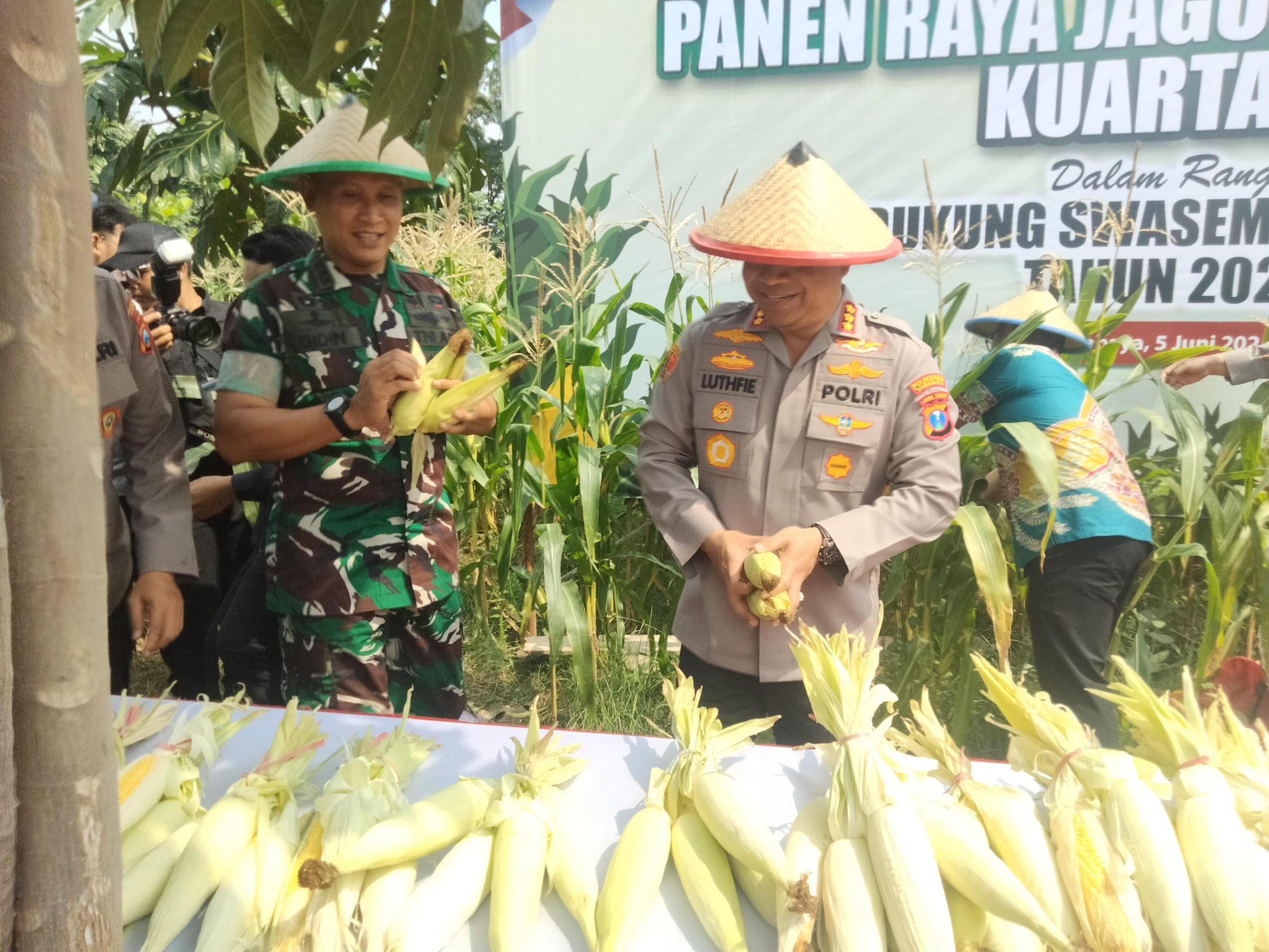 Dandim Surabaya Hadiri Panen Jagung Serentak, Dukung Ketahanan Pangan Nasional