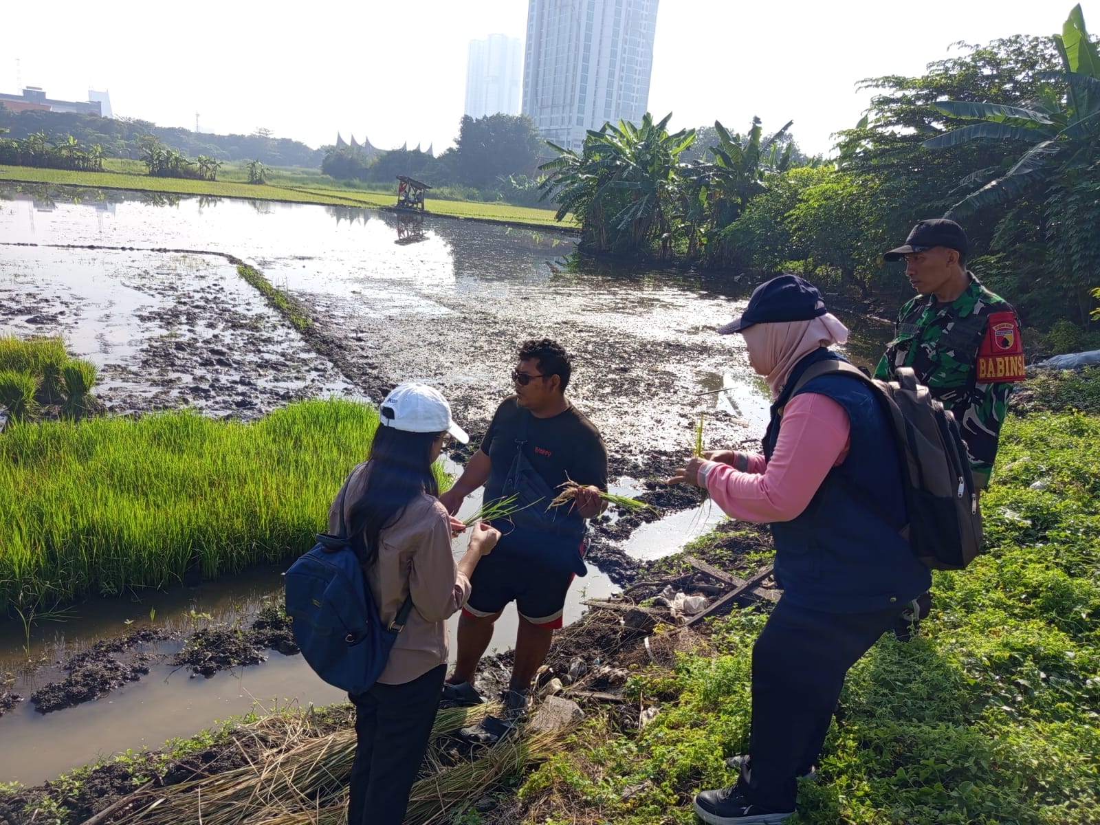 Bersama PPL, Babinsa Gayungan Bantu Petani Berantas Hama Sundep